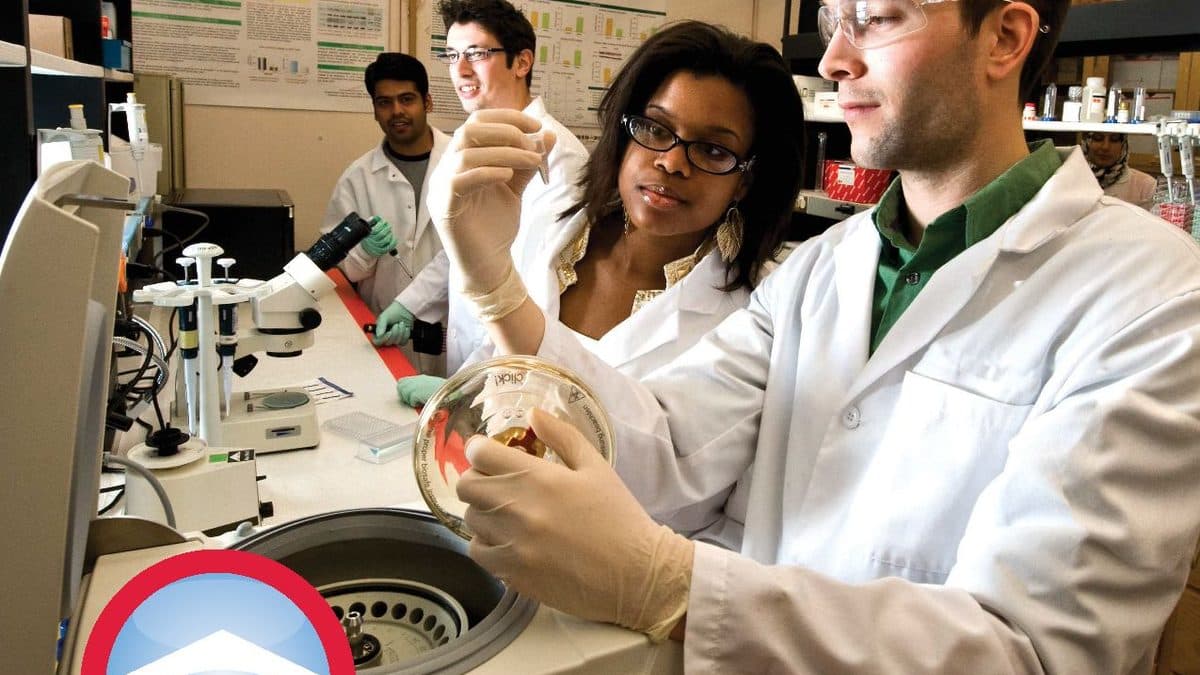State Higher Education Bodies Roll Out Targeted Research Mentorship and Faculty Upskilling Under NEP Framework